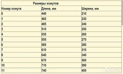 Хомут 8