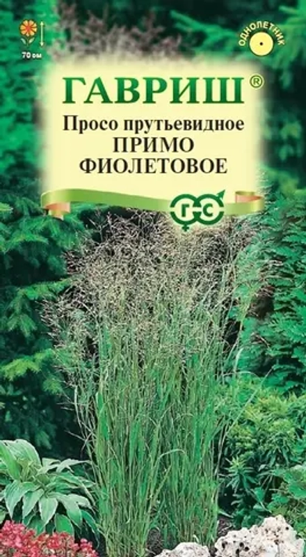 Просо Примо фиолетовое (декоративное) 0,5г (Гавриш)
