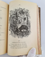 "Басни Крылова". 1905г. - антикварная книга