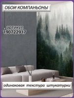Фотообои хвойный лес в тумане