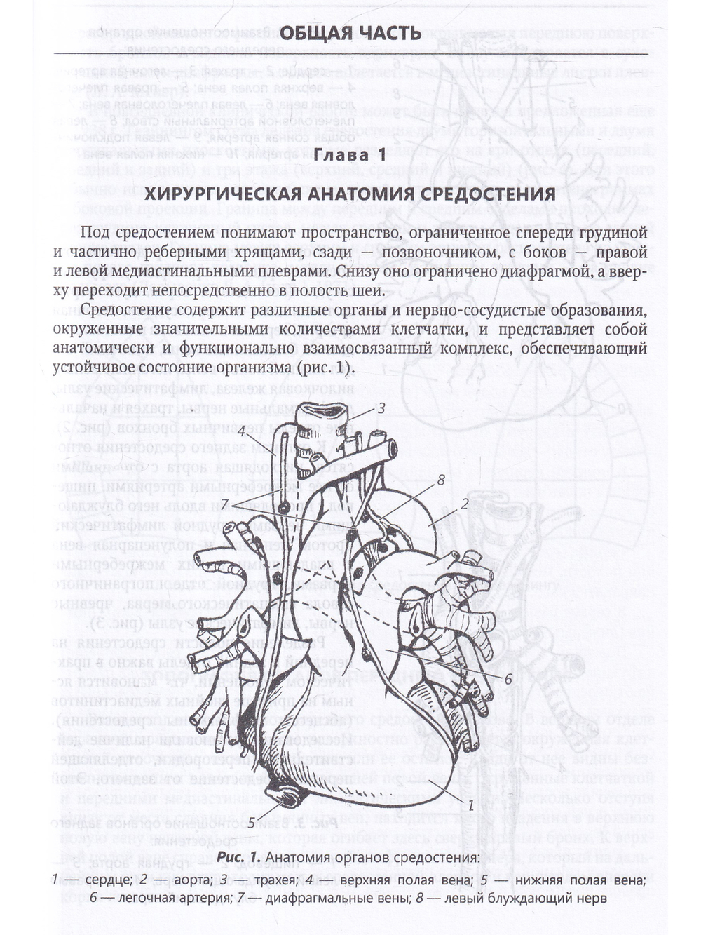 Хирургия средостения.Руководство для врачей