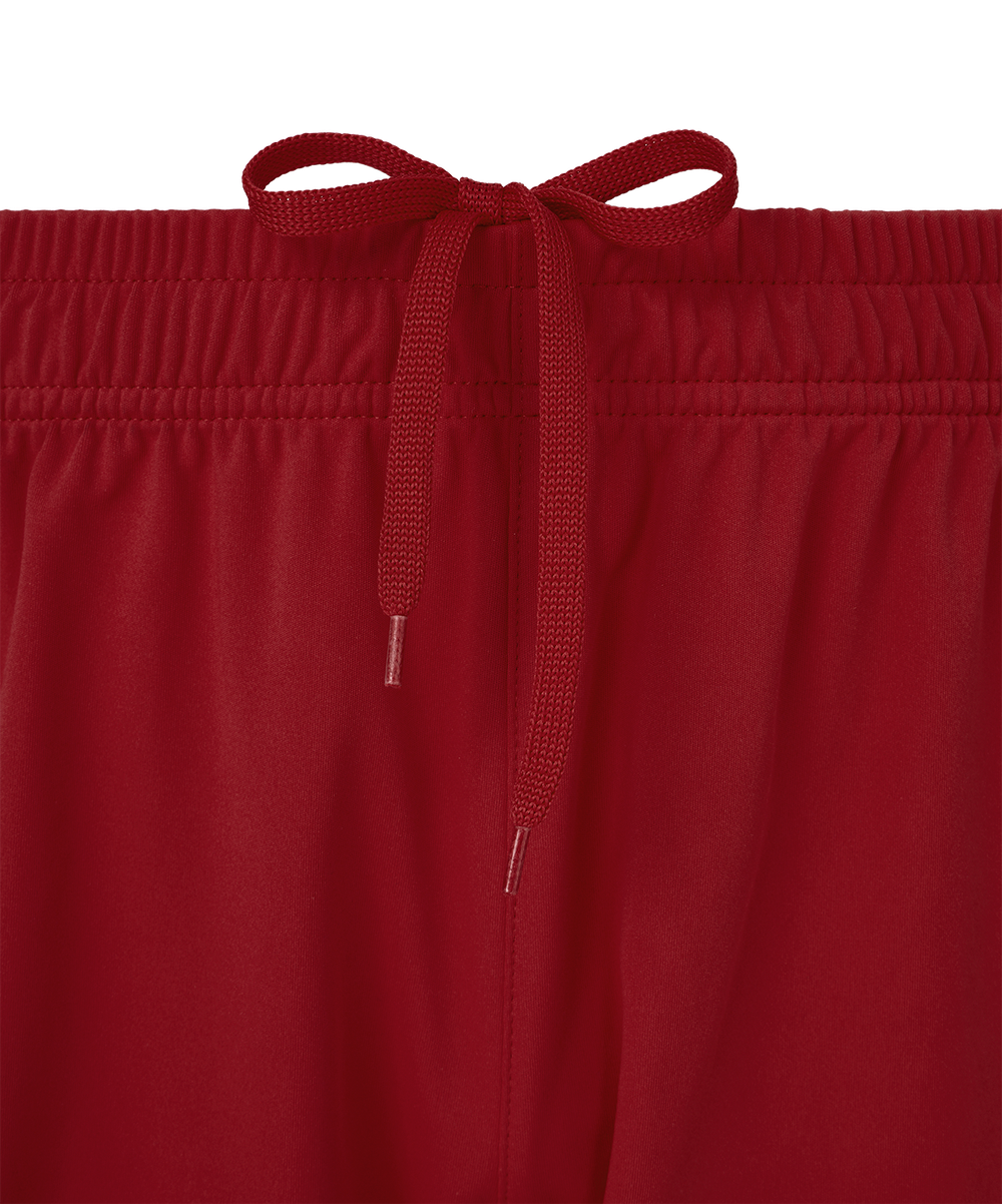 Шорты игровые Jogel DIVISION PerFormDRY Union Shorts, гранатовый 83