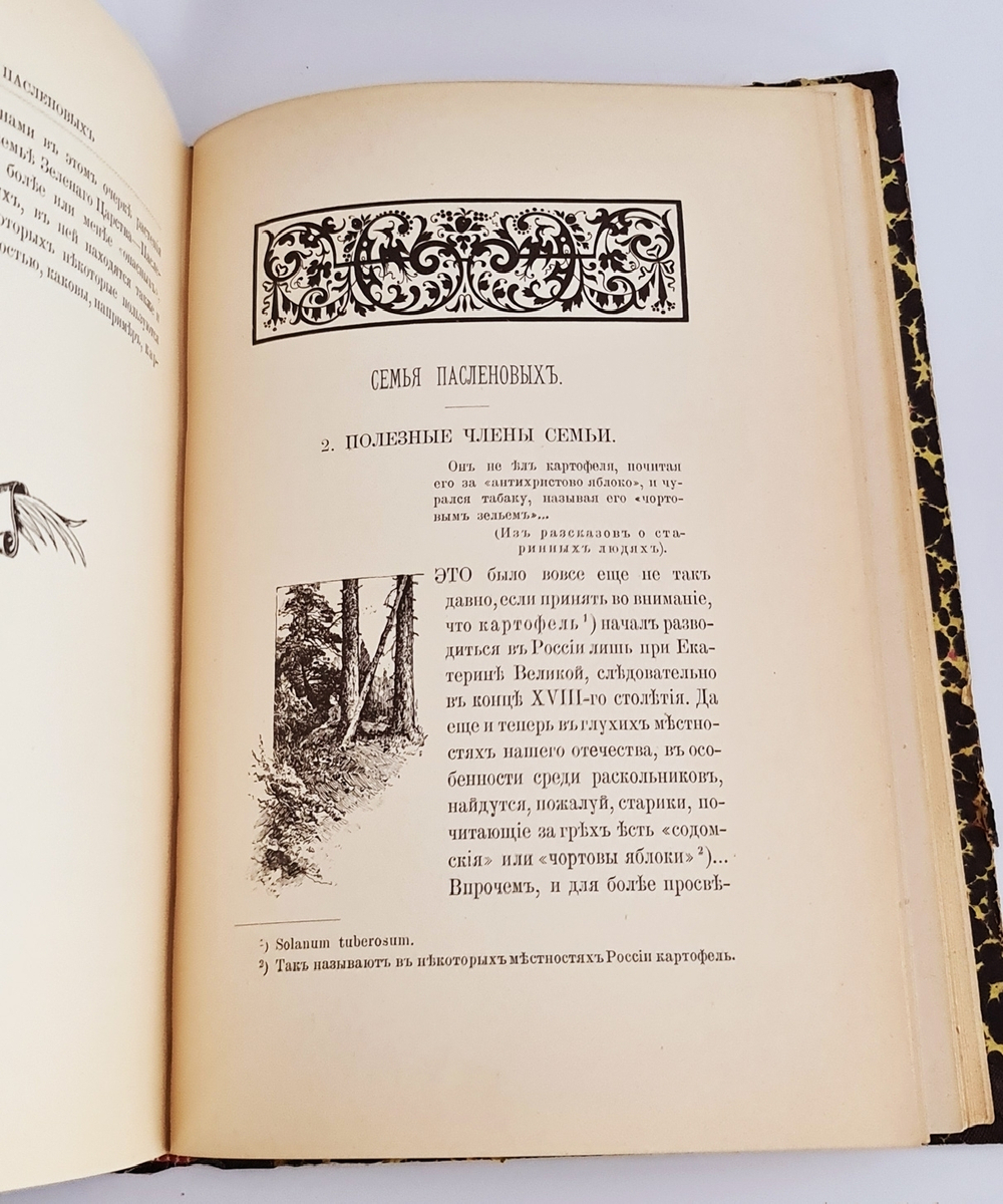 "Из зеленого царства. Популярные очерки из мира растений". Д.Н.Кайгородов. 1902г.