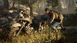 Days Gone (Жизнь после) (диск для PS4, полностью на русском языке) (обложка на русском языке)