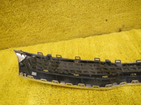 DSCN6775.JPG