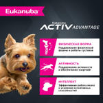 Сухой корм Eukanuba Adult Toy Breed 1+ years для взрослых собак миниатюрных пород с курицей 1,5 кг
