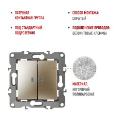 Выключатель ЭРА Серия 12 12-1105-04 двойной с подсветкой скрытой установки 10АХ-250В | Эра 12