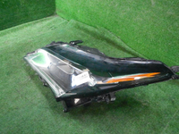 DSCN5305.JPG