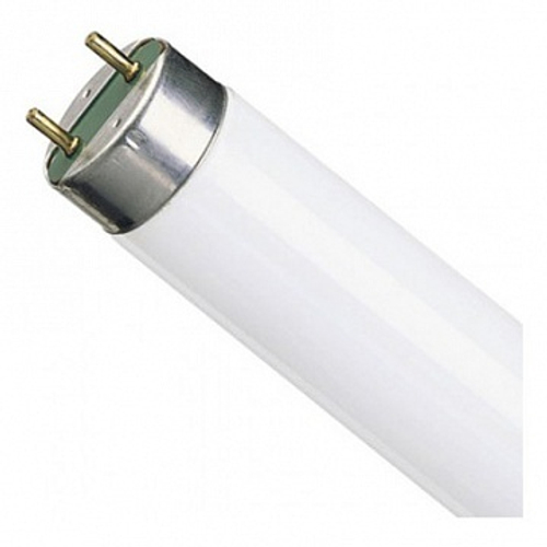 Люминесцентная лампа OSRAM L 36W/765 G13