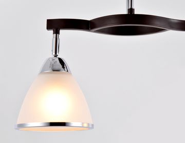 Люстра потолочная TR3111/2 DCF/CH темно-кофейный/хром Traditional Ambrella