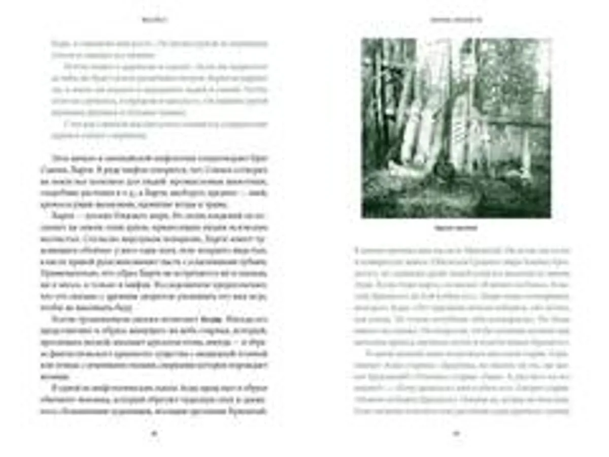 Мифы Восточной Сибири. От Ангары и Енисея до небесного кузнеца Божинтоя и солнечной девы Нелтек