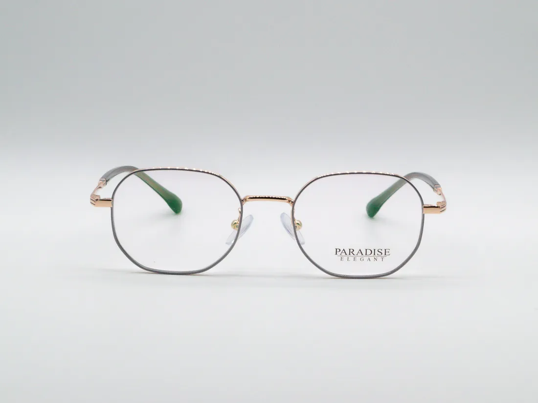 Изг. оправы PARADISE H70196 C6