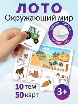 Развивающая настольная игра для детей, умный сортер "Окружающий мир". Обучающая игра на липучках, для изучения мира и сопоставления картинок. Развитие мелкой моторики. Игрушки для малышей