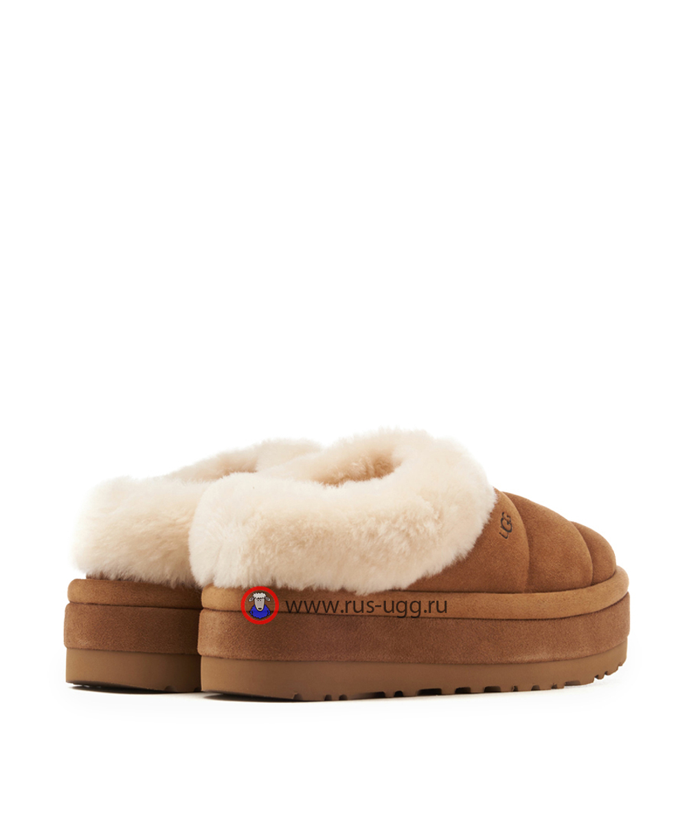 TAZZLITA Chestnut