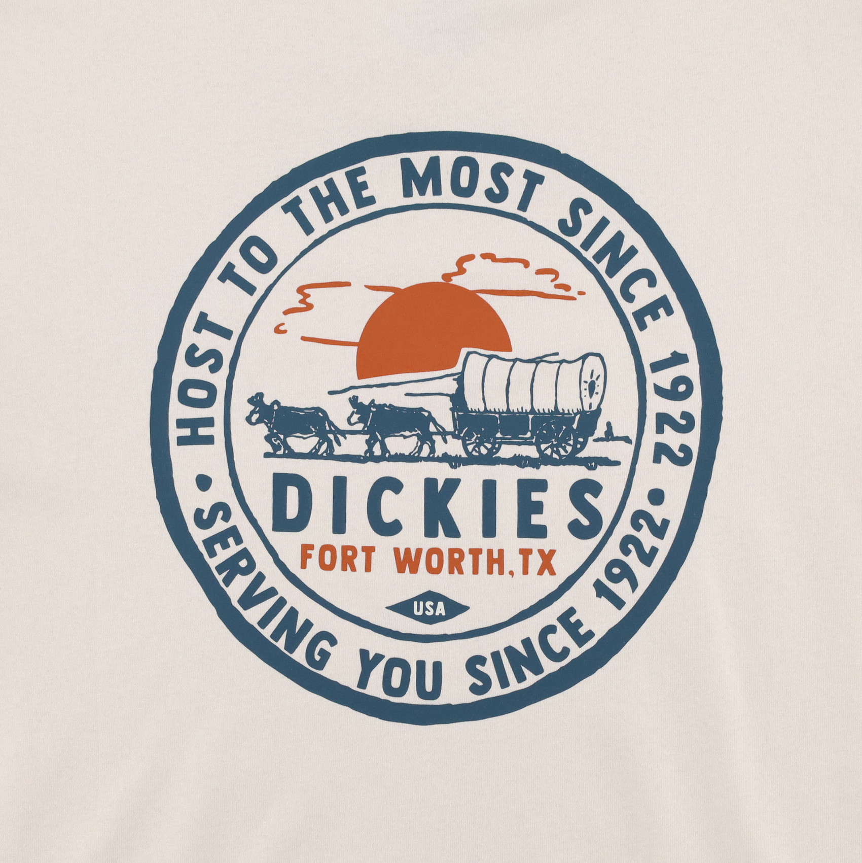 Футболка Dickies Greensburg Graphic T-Shirt (stone whitecap gray) артикул: - купить в магазине Дайс
