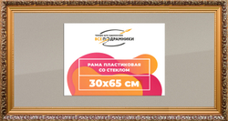 Рамка 30x65 для постера и фотографий