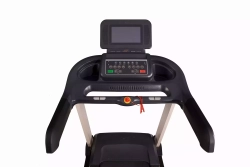 Беговая дорожка Watson Dynamics Pro 300 LCD