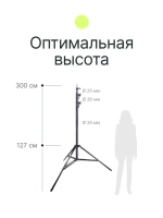 Стойка Raylab LS300CA 3м с воздушной амортизацией
