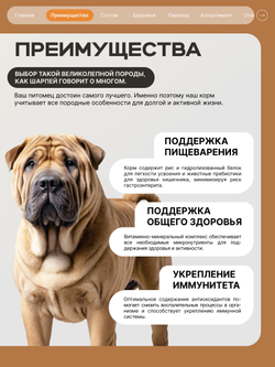 Корм сухой для взрослых собак породы Шарпей, премиум полнорационный комплекс, с индейкой, 2,5 кг, QUATTRO