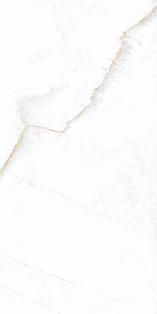 Керамогранит MUSEUM DUAL White EP