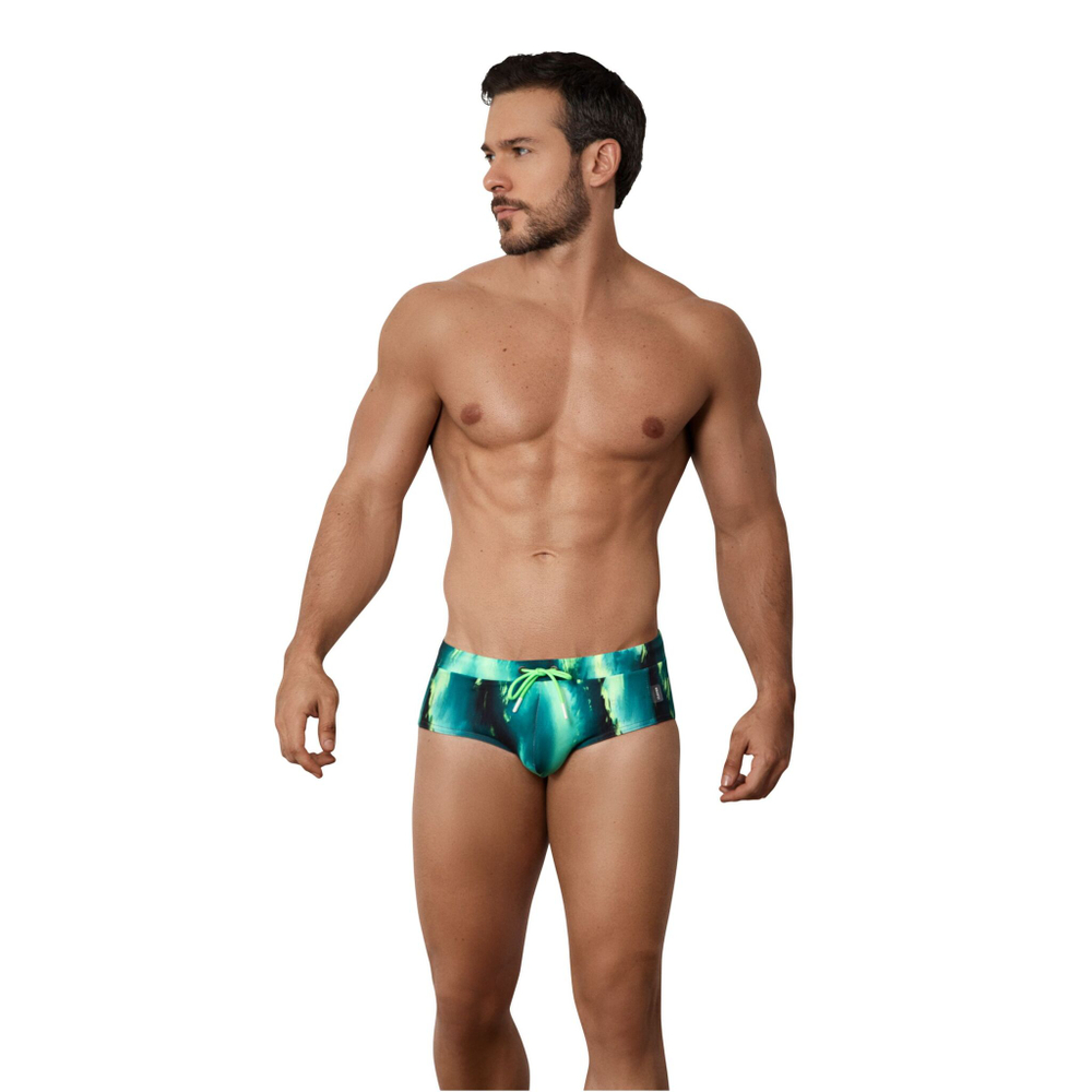 Зеленые плавки-брифы с принтом Torry Verde Swimsuit Brief (Размер: L) (Цвет: зеленый)