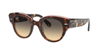 RAY-BAN ROUNDABOUT RB2192 1324BG