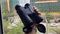 Binokl Visionking 10*42