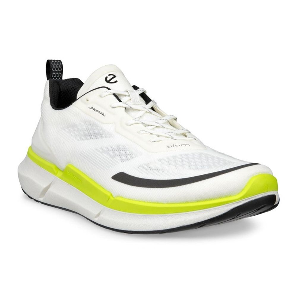 Кроссовки мужские ECCO BIOM 2.2 M