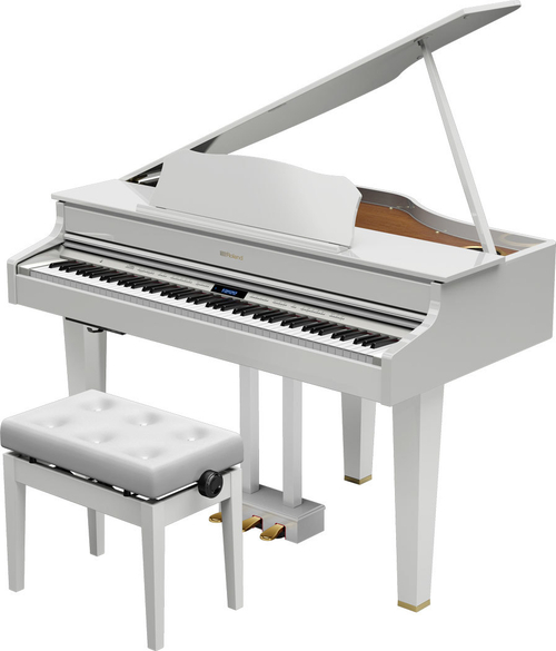Roland GP607