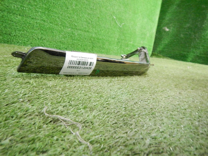 DSCN1847.JPG