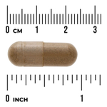 Swanson Vitamins, Full Spectrum®, листья базилика священного, 400 мг, 120 веганских капсул