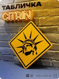 Табличка декоративная "Статуя Свободы, США, Нью-Йорк" на дверь и стену, прикольная штука в подарок, декоративный знак, 24,5х24,5 см, пластиковая, Айдентика Технолоджи