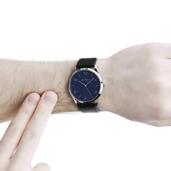 Наручные часы Skagen SKW6151