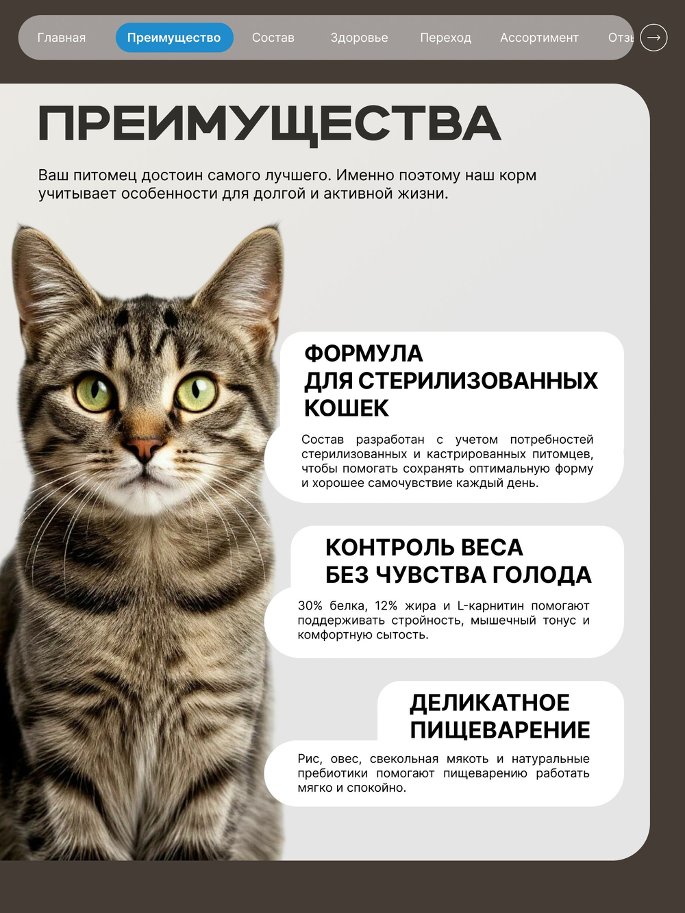 Корм сухой для стерилизованных кошек всех пород, с лососем, 2 кг, QUATTRO