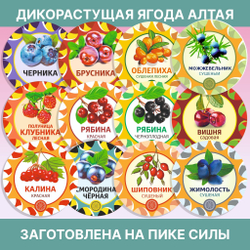 Ягель мох (кладония)