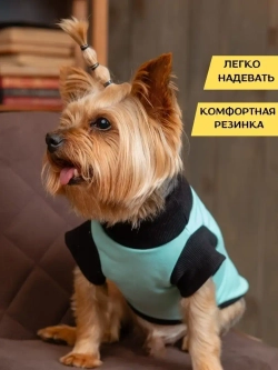Футболка для собак мелких средних пород и кошек