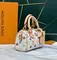 Сумка LOUIS VUITTON х TM Speedy 25