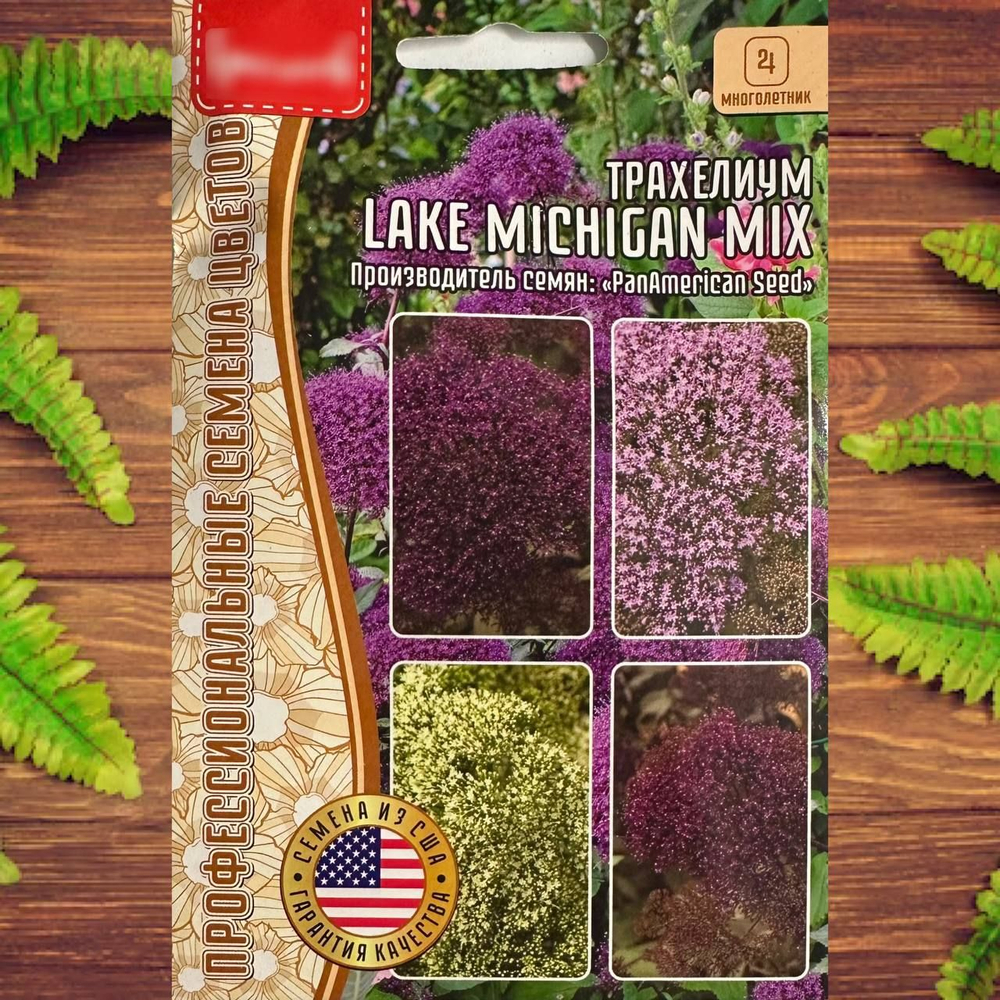 Трахелиум Lake Michigan Mix многолетник 4 мультидраже (Ред.Сем)