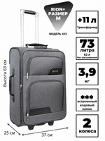 RION+ 422GRY — инфографика