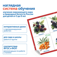 Модуль "Овощи, фрукты, ягоды России" Learning Resources MS0102/2