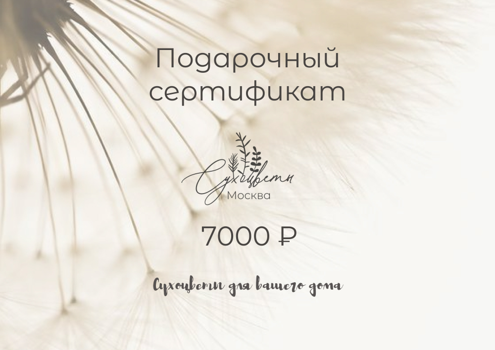 Подарочный сертификат 7 000 рублей