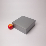 Коробка крышка-дно 25x10x25, серебро, картон