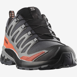 Кроссовки Salomon XA PRO 3D V9 GTX Turbulence/Black