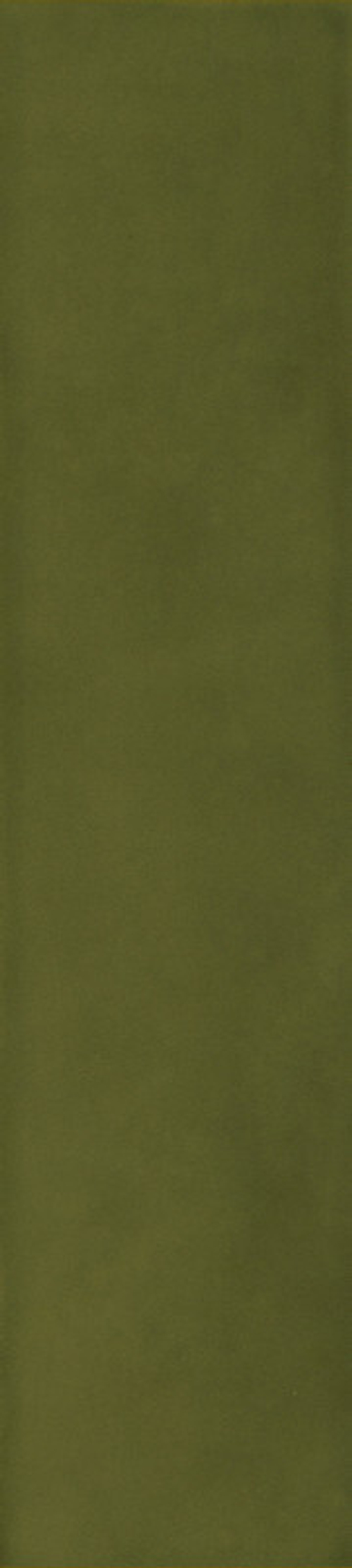 SENSI COLORE MUSCHIO GLOSSY 5,7X23,2