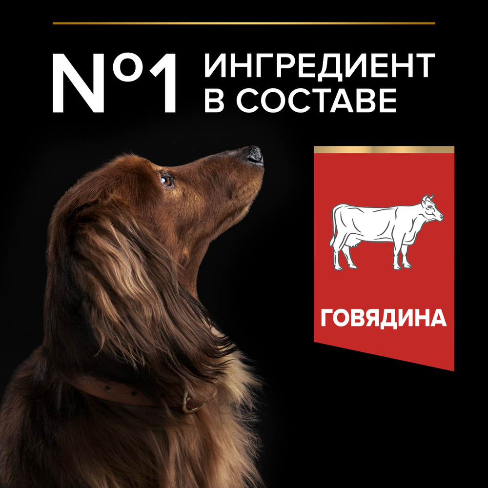 Сухой корм PRO PLAN DUO DELICE для взрослых собак мелких и карликовых пород говядина 700 г
