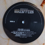 Various Artists / The Many Faces Of Led Zeppelin (A Journey Through The Inner World Of Led Zeppelin)(Limited Edition)(Coloured Vinyl)(2LP)