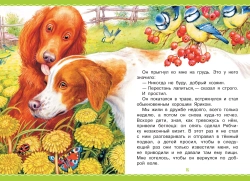 Рассказы