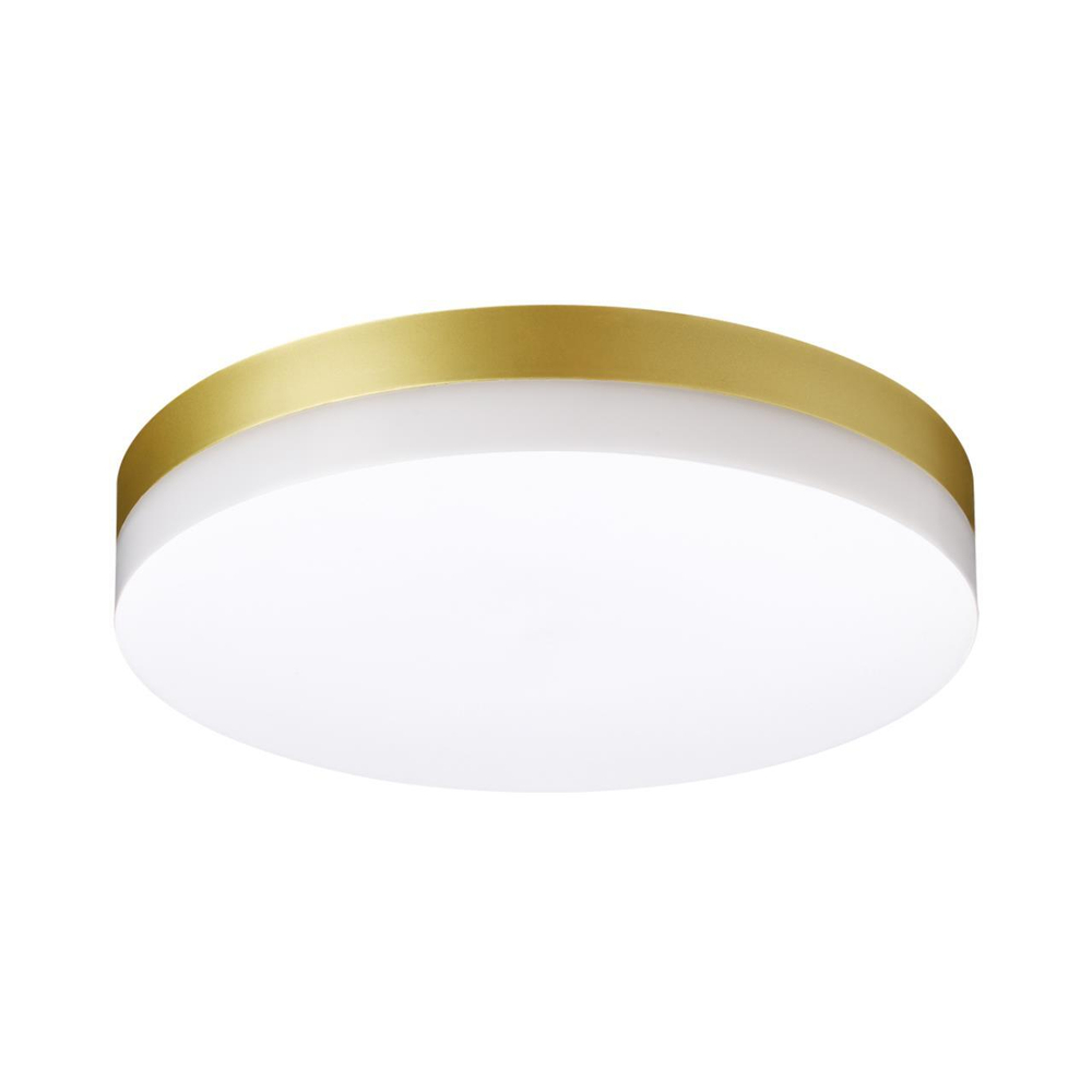 Уличный потолочный светодиодный светильник 358888 STREET NT22 золото IP54 LED 4000К 30W 220V OPAL