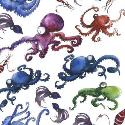Разноцветные морские осьминоги и каракатицы