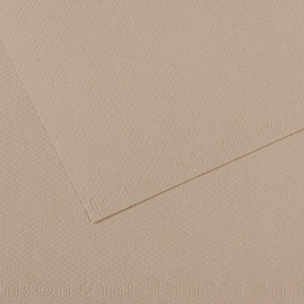 Бумага для пастели Mi-Teintes 160 г/м², 75х110 см, 10 л, №122 Серая фланель, Canson, C31032S160 Бумага для пастели Mi-Teintes 160 г/м², 75х110 см, 10 л, №122 Серая фланель, Canson, C31032S160